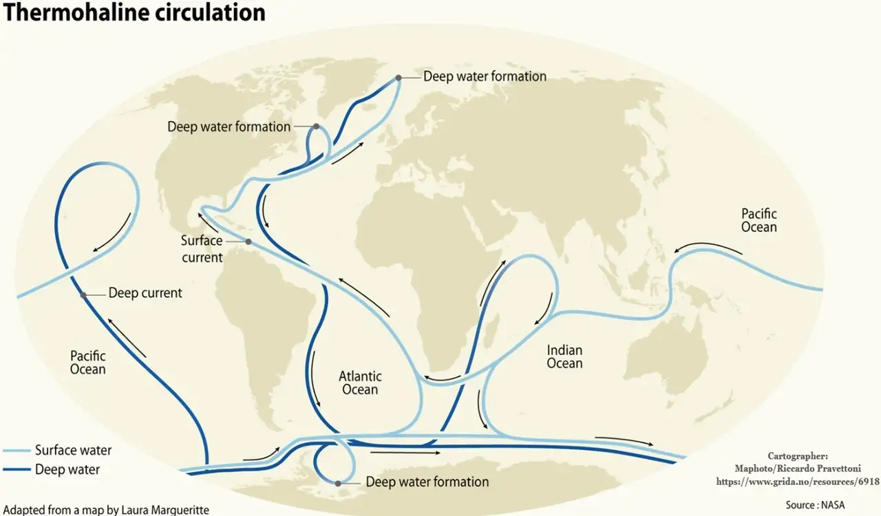 thermohaline